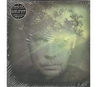 Davidson Delaney - Shining Day