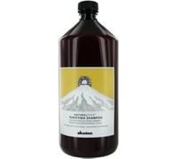 DAVINES by Davines: NATURAL TECH PURIFYING SHAMPOO FOR SCALP WITH OILY FOR DRY DANDRUFF 1000ml