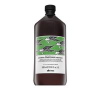 Davines Natural Tech Renewing Conditioning Treatment 1000 ml