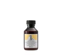 Davines Naturaltech Purifying Shampoo 100 ml