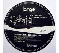 DAVIS, ROY -JR.- - GABRIEL