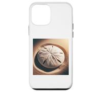 Davvero come Sand Dollars Sand Dollar Custodia per iPhone 12 mini