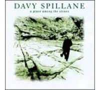 Davy Spillane - Place Among the Stones 3