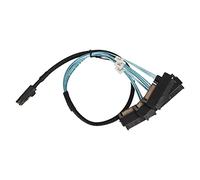 DAWH Cavo da SAS a SATA, da Mini SAS a 4 Cavi SATA a 7 Pin 12 Gbps Shield Layer per Computer Desktop (0,5 m)