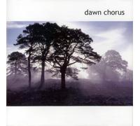 Dawn Chorus