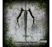 Dawn Of Ashes - Infecting The Scars