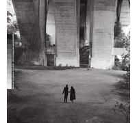 Dawn Richard and Spencer Zahn Quiet in a World Full of Noise (CD) Album