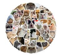 DAWRIS Set di 50 Adesivi Divertenti A Forma Di Gatto, Impermeabili Divertente Cat Meme Stickers, In Vinile, Per Amanti Dei Gatti Meme Sticker, Bottiglia D'Acqua, Album Di Ritagli, Telefono