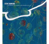 Steve Dawson At the Bottom of a Canyon in the Branches of a Tree (Vinyl LP)