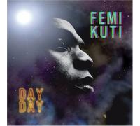DAY BY DAY by Femi Kuti (2008-11-18)