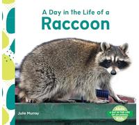 Day in the Life of a Raccoon