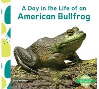Day in the Life of an American Bullfrog