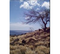 Day Planner: Meet your new best friend