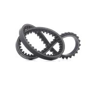 DAYCO 10A0605C Cinghia trapezoidale
