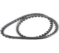 DAYCO 10A0750C Cinghia Trap.DENTATA Com.ALTERN.VOLVO760