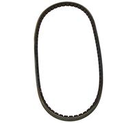 Dayco Cinghia Alternatore 10A0800C