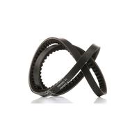 DAYCO 10A0800C Cinghia trapezoidale