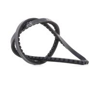 Dayco Cinghie Trapezoidali Cog 10A0835C