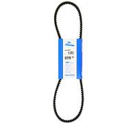 Cinghia Poly-V DAYCO 10A0950C