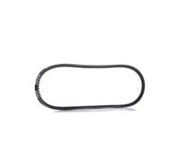Dayco Cinghia trapezoidale Sectoflex 9,5 x 975 mm – 10A0975C