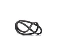 DAYCO 10A1010C Cinghia trapezoidale