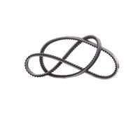 DAYCO 10A1175C Cinghia Trap.PEUG.504/5 Renault 11/21