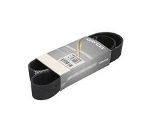 Cinghia Poly-V DAYCO 10PK1145HD