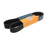 Cinghia Poly-V DAYCO 10PK1448HD