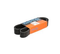 Dayco Cinghia Poly-V 10PK1570HD per Scania Serie R e Volvo FE FH FM FMX