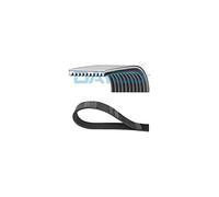 DAYCO 10PK1620HD Cinghia