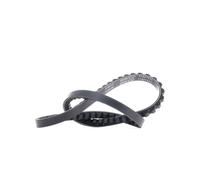 Cinghia trapezoidale DAYCO 11A0793C