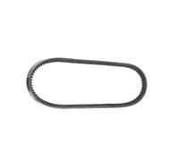 Dayco Cinghie Trapezoidali Cog 13A0800C