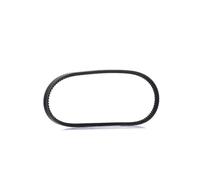 Dayco Cinghie Trapezoidali Cog 13A0875C