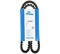 DAYCO Cinghie Scanalate NISSAN,BMW,VOLVO 13A0975C 60513156,1000459,4982548 Cinghia Trapezoidale,Cinghia trapezoidale 6M3419D621BA,2312736000,030518381