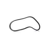 Cinghia trapezoidale 13A1025C DAYCO per FORD AUDI VW RENAULT LAND ROVER MAZDA
