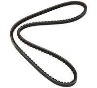 Cinghia Poly-V DAYCO 13A1200C