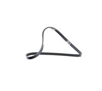 Cinghia Poly-V DAYCO 3PK740