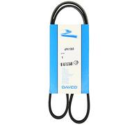 CINGHIA SERVIZI DAYCO DAY4PK1065