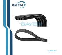 DAYCO 4PK1238 Cinghia poly-V Citroen BX Audi A6 C5 VW Passat B5.5 2.5 TDI 82-