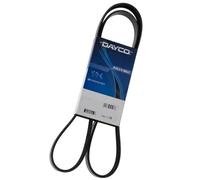 Dayco Cinghia Poly-V 4PK552 per Fiat Seicento 1.1