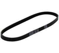 DAYCO 4PK780 CINGHIA POLY-V COM.ALT.MONTEGO ROVER 111