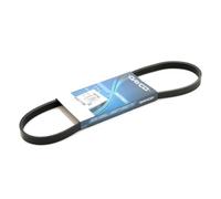 DAYCO 4PK788 Cinghia servizi per FIAT Seicento / 600 Schrägheck (187) 788,0mm