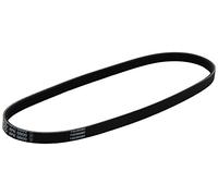 Dayco Cinghia Poly-V 4PK800 per Honda, Lancia e Suzuki