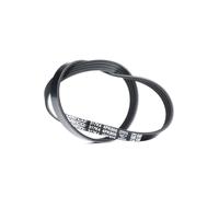 Cinghia Poly-V DAYCO 4PK805