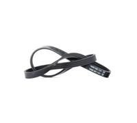 DAYCO 4PK855 Cinghia servizi