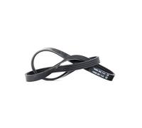 DAYCO 4PK855 Cinghia servizi