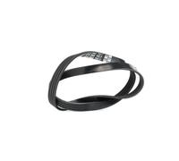 DAYCO 4PK862 Cinghia servizi