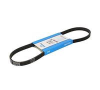 DAYCO 4PK874EE Cinghia Poly-V Fiat Doblo'