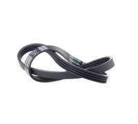Cinghia Poly-V DAYCO 4PK890