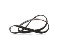 DAYCO 4PK954 Cinghia servizi
